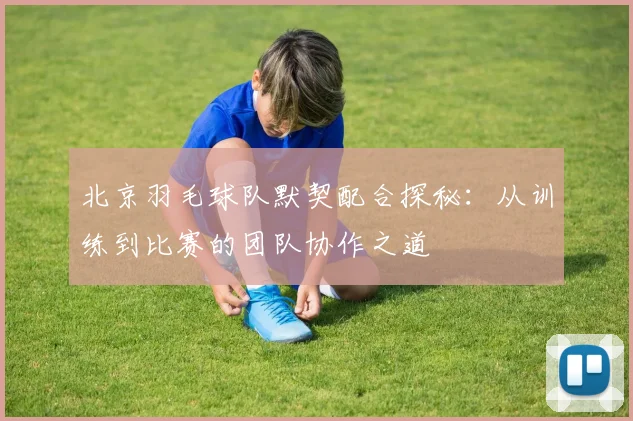 北京羽毛球队默契配合探秘：从训练到比赛的团队协作之道